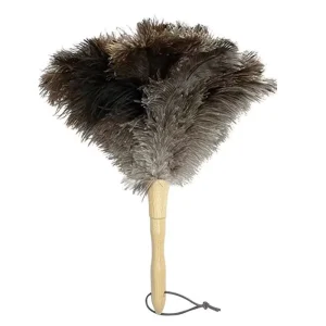 12-Inch Natural Soft Ostrich Feather Duster for Home, Car, Office, and Decoration