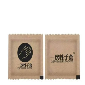 2-Piece Individually Wrapped Disposable Waterproof PE Plastic Gloves for Food Preparation and Cooking