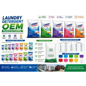 20g 25kg Single use Laundry Detergent Powder OEM ODM Label Custom Design Factory Direct