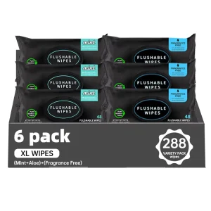 6bags 48pcs Butt Wipes Fragrance free MINT XL Flushable Wipes Alcohol free Aloe Vea Flushable Wipes for Adult