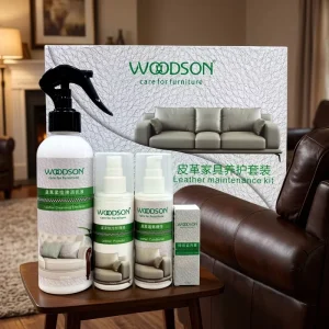 Anti-Mold Leather Maintenance Kit with Protector Spray and Stain Remover Cream for Furniture