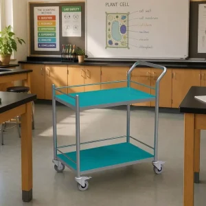 Anti static 2 Tier Laboratory Trolley Customized Medical Cart for Hospital School Lab Mobile Furniture with Casters