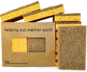 Biodegradable Natural Kitchen Sponge Eco Friendly Compostable Cellulose Coconut Walnut Scrubber Popular Sponge Scouring Pads