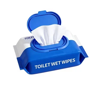 Biodegradable Odorless Flushable Wet Toilet Paper for Adults