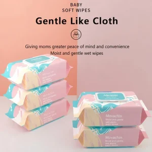 Biodegradable Toilet Wipes Manufacturer Disposable Wet Toilet Paper Wipes Household Use Alcohol Free Custom Logo