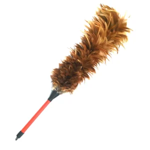Cock Feather Duster