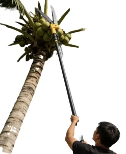 Coconut Plucking Telescopic Poles 80ft 12m 8m 6m Carbon Fiber Adjustable Eco Friendly Fruit Picker Tool Household Cleaning