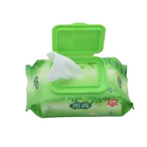 Compressed Adult Disposable Disinfecting Wet Wipes
