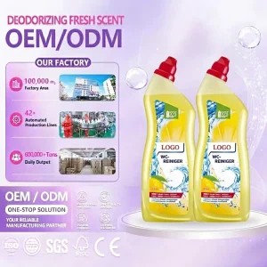 Concentrated Toilet Cleaner Tablets Urine Scale Stain and Yellowing Removal Antimicrobial Citrus Scent