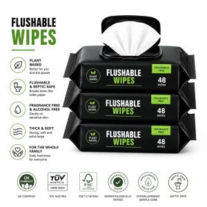Custom Logo Friendly Disposable Thick Flushable Non Woven Household Cleansing Wet Toilet Wipes