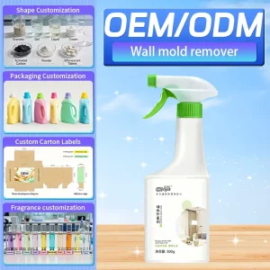 Custom Private Label Mildew Removal Spray 500g Multi scene Sanitary Cleaner for Household Hotel Wall Ceiling Cleaning Products