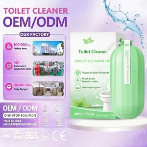Customizable Toilet Cleaner Tablets Urine Scale Remover Flush Tank Detergent OEM Lemon Mint Scent