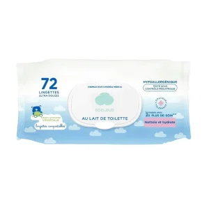 Customized Individual Packaging Scented Alcohol free Fragrance free XL Flushable Non Woven Extra Soft Wipes for Adults