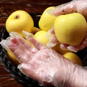 Disposable PE Gloves for Messy and Skin-Irritating Tasks