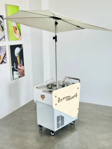 EV Battery Operated Mobile Ice Cream Cart with 8 Hours Battery Life for Yogurt Nuts and Fruit Gelato