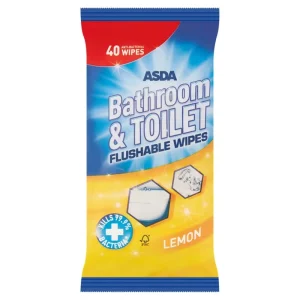 Easy Carry Small Sachet Eco Friendly Non Woven Extra Soft Household Wet Toilet Paper Wipes Support Private Labels Flushable for