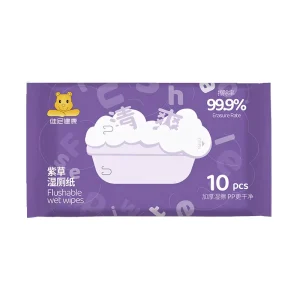 Eco-Friendly Biodegradable Disposable Moist Toilet Tissue Soft Gentle Personal Cleansing Flushable Wet Wipes for Adults 10 Count