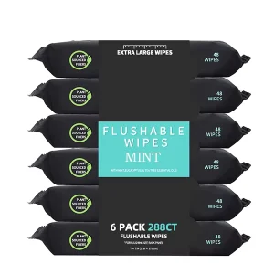 Eco-Friendly Soft Hypoallergenic Plant-Based Flushable Wet Wipes with Mint for Adults