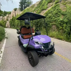 Electric 4×4 Utility Lithium off Road 48v Mini 4 Seater Electric Golf Cart for Non Public Road Use
