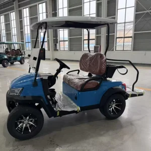 Electric Golf Cart 60V Battery 80km Range Off Road Buggy with Roof Windshield for Resort Park