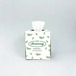 FTW2 B90 Cube Box Facial Tissue