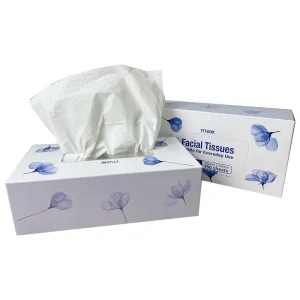 Factory Direct Sale Facial Tissue 2 Ply