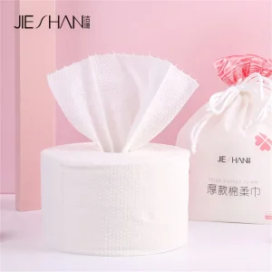 Factory Direct Sale Own Brand Jieshan Disposable Towel Soft with Core 20*20cm Roll Wipes