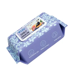 Flushable Eco-Friendly Adult Wet Wipes Deodorizing Full-Body Bathing Wipes with Aloe Antibacterial Hypoallergenic OEM Customized