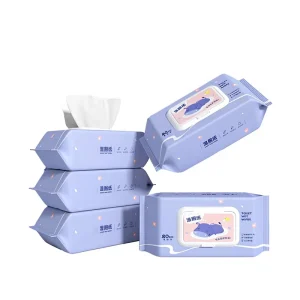 Flushable Moist Portable Household Closestool and Biodegradable Wet Toilet Wipes for Traveling