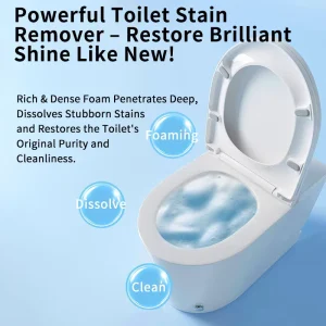 Foaming Toilet Bowl Cleaner Gel Block