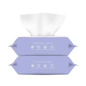 Free Samples Toilet Wipes Hypoallergenic Personal Cleansing Wipes Biodegradable Baby Wipes Wet Tissue Wipes Flushable Wet Wipes
