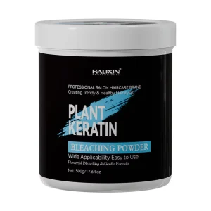 HAOXIN High Quality 500g Unisex Bleaching Powder for Hair Extensions Permanent Color Barbershop Fade Mild Treatment