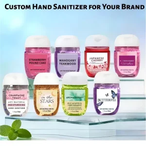 Hand Sanitizer Gel Fast Dry Moisturizing Private Label OEM ODM Manufacturer
