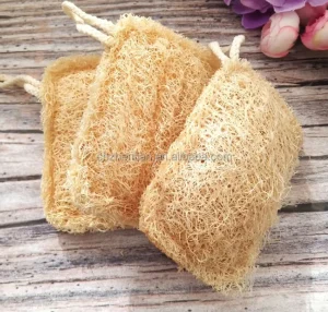 Loofah and Wood Pulp Rectangle Sponge Brush for Non-Stick Dishwashing