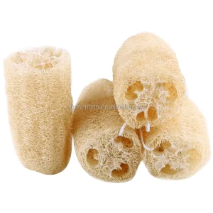 Luffa Seaweed Kitchen Dishwashing Sponge and Pot Scouring Pad