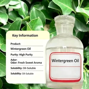 Methyl Salicylate CAS 119 36 8 Brand Industrial Grade High Purity Organic Ester for Intermediates
