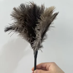 Mini Handheld Anti-Static Ostrich Feather Duster Brush for Computer Keyboard and Office Desktop