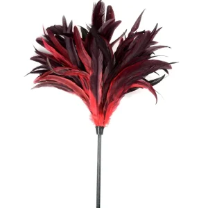 Mini Reusable Handheld Natural Rooster Chicken Feather Duster for Cleaning Home Car Office