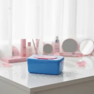 Modern Home Multifunctional Plastic Container with Lid Wet and Tissue Wipes Dispenser for Cleansing Soft Fragrance