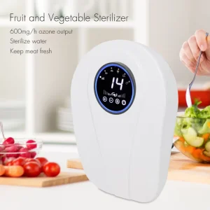 Multi functional Ozone Fruit Vegetable Cleaner Efficient Pesticide Removal for Household Kitchen Daily Application
