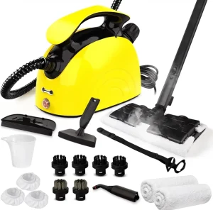 Multipurpose Steam Cleaner with 21 Accessories, 248F High-Temperature Steam, Handheld