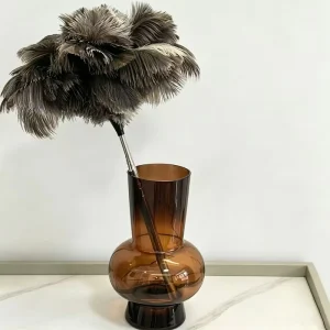 Natural Retractable Ostrich Feather Duster for Home and Car Cleaning
