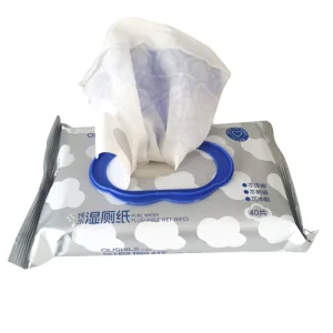 OEM Flushable Toilet Wet Wipes Nonwoven Eco Friendly Organic Hygiene Care Disposable Alcohol Free Pure Water Adult
