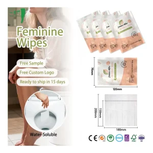 OEM ODM Eco-Friendly Disposable Flushable Non-Woven Single Wet Wipes Individually Wrapped Feminine Toilet Cleansing Wipes CE