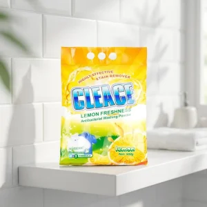 OEM ODM High Quality Eco Friendly Floral Scented Disposable Laundry Detergent Deep Stain Removal for Household Cleaning Apparel