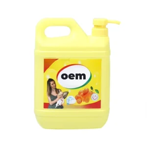 Oem Odm Detergente Liquido 750ml Customized Eco Friendly Paste Detergent Kit Dish Soap Dishwashing Liquid