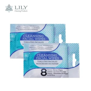 Oem Wet Tissue Non Woven Fabric Cleansing Facial Mini Wipes Alcohol Free Scented ISO9001 Certified Custom Logo 8 Packs 2 Year