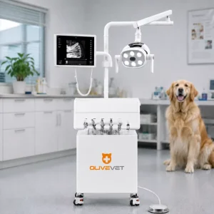 OliveVet Mobile Teeth Cleaning Treatment Veterinary Portable Dental Unit for Vet Clinic