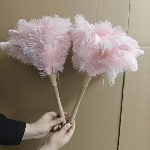 Ostrich Feather Duster Manufacturer Customizable Packing Washable Household Duster