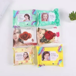 Portable Wet Wipes, 25 Pieces per Pack, Women’s Cleansing Care Wipes for Adults